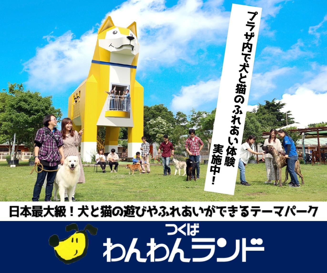 つくばわんわんランド