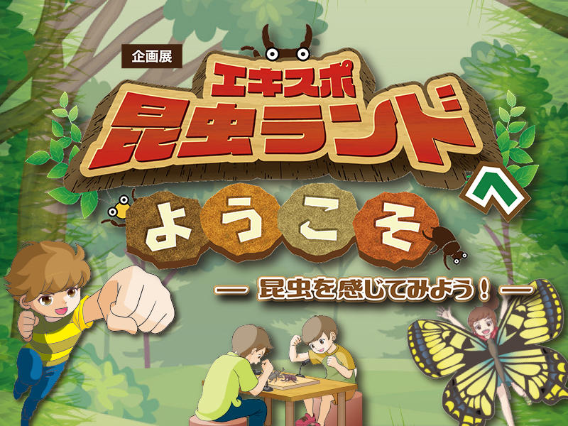 【つくばエキスポセンター】企画展「エキスポ昆虫ランドへようこそ　－昆虫を感じてみよう！－」