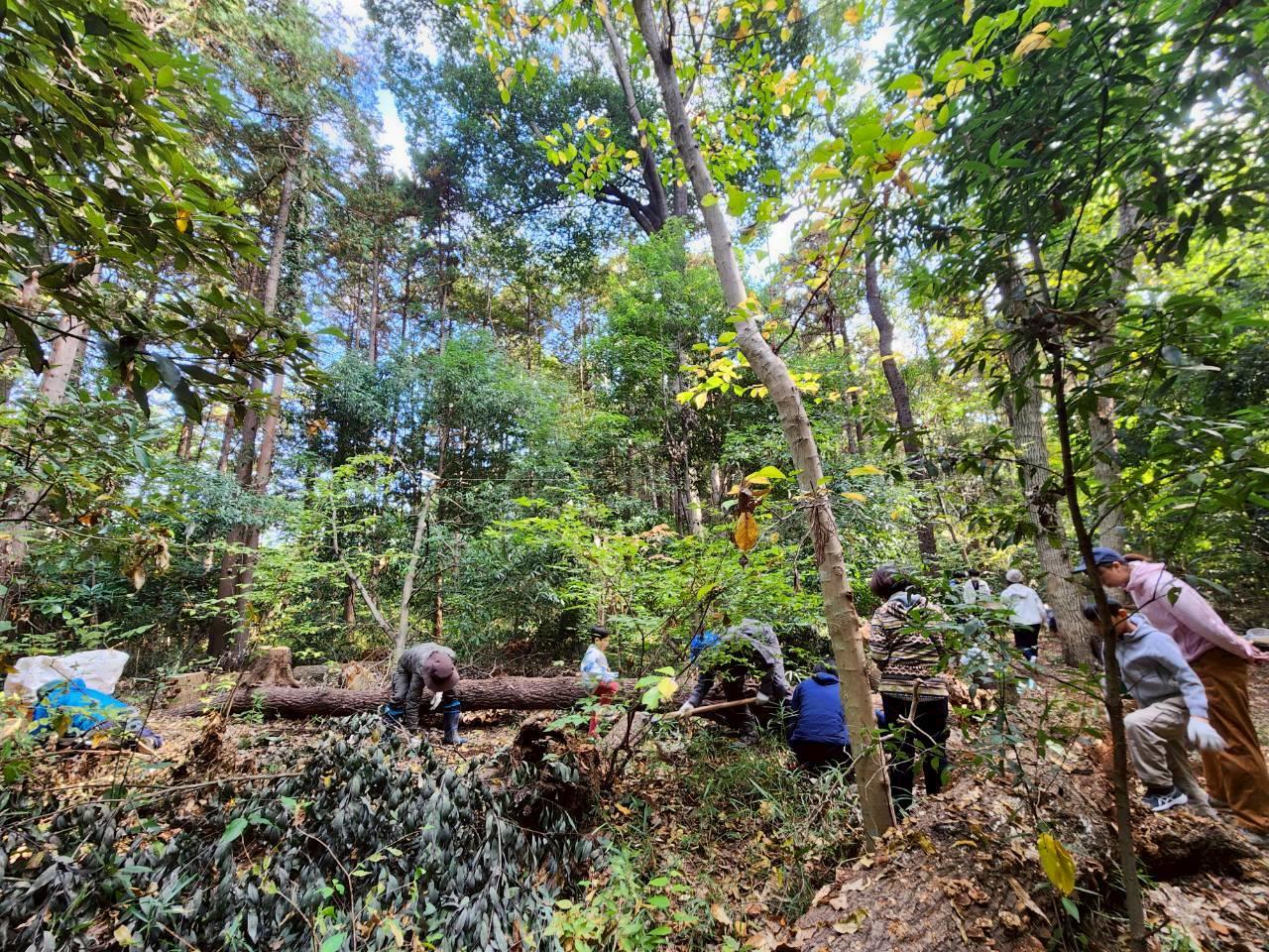 里山で土の中の改善を学ぼう!WSの様子