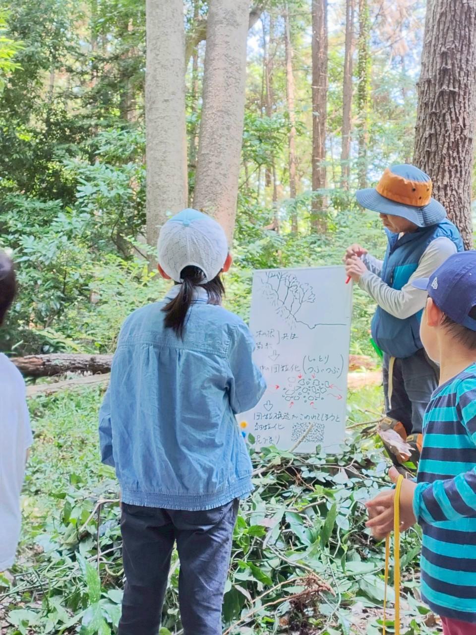 里山で土の中の改善を学ぼう!WSの様子