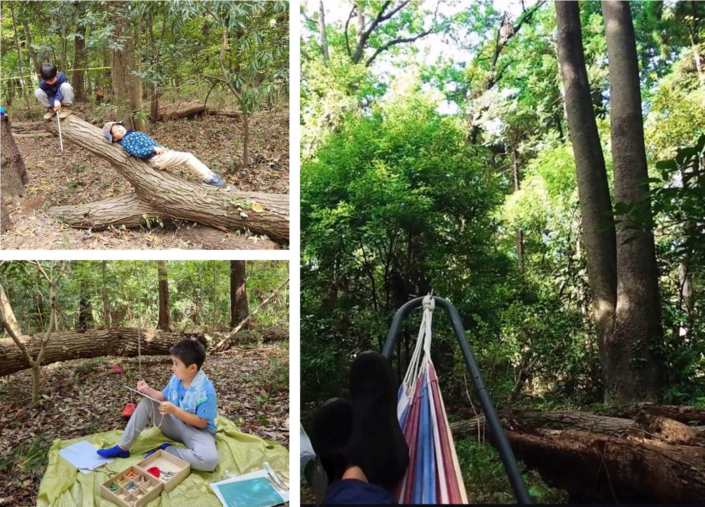 里山のリビングの様子