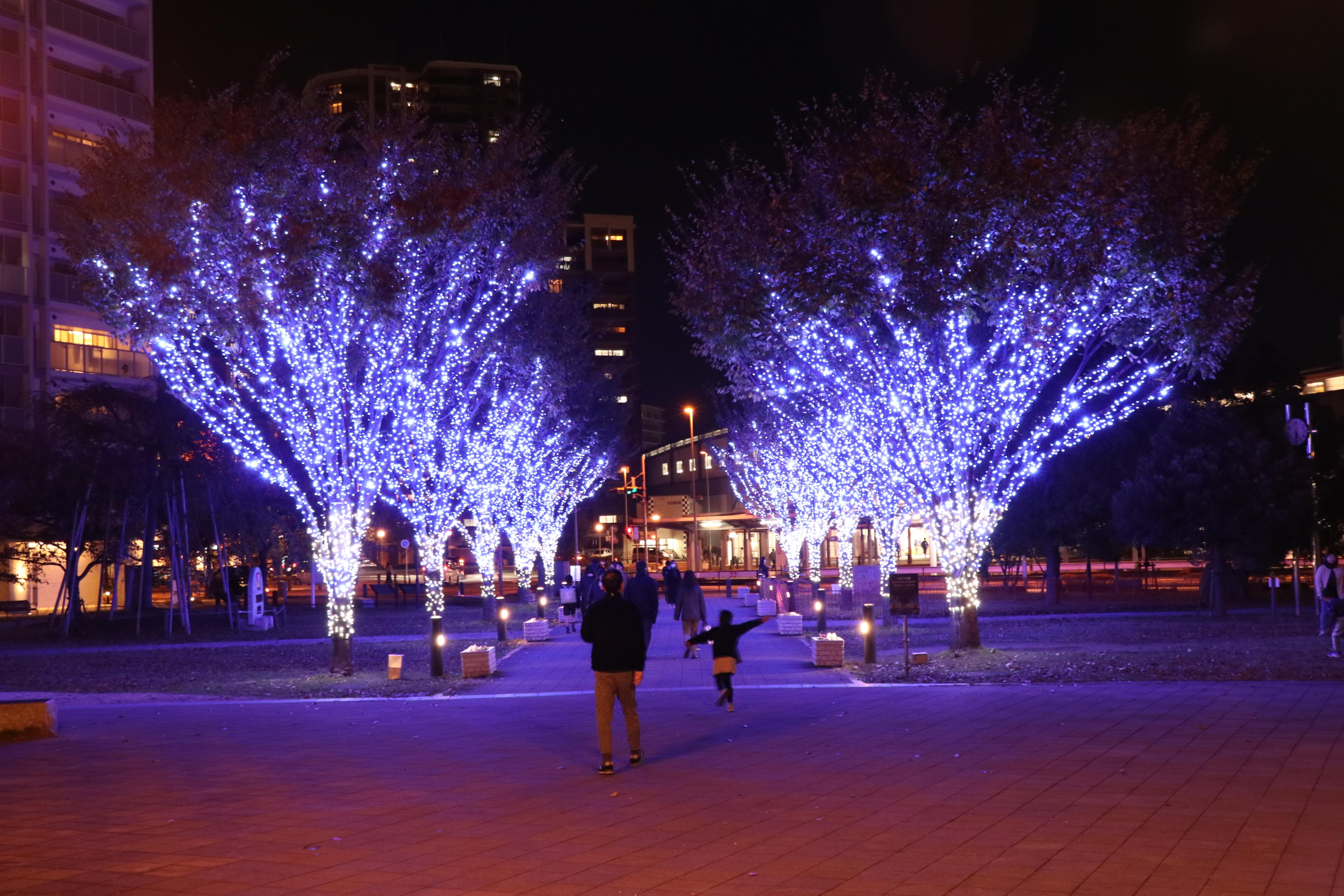 つくばエクスプレス開業20周年記念　におどり公園イルミネーション